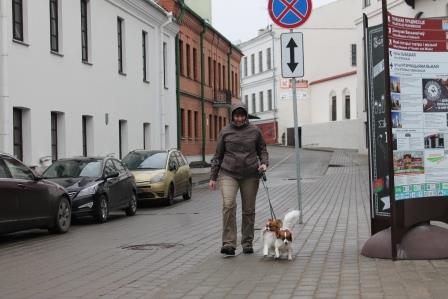 Papillons, papillon kennel, папильон, питомник папильонов, континентальный той спаниель, фален,