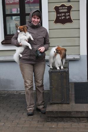 Papillons, papillon kennel, папильон, питомник папильонов, континентальный той спаниель, фален,