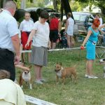 Миниатюрный бультерьер, щенки миниатюрного бультерьера, питомник миниатюрных бультерьеров, минибуль, бультерьер, миниатюрные бультерьеры в Беларуси, miniature bull terrier, minibull, kennel miniature bull terrier, minibull puppies