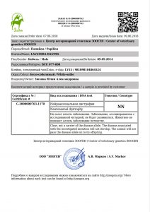 Сертификат на Нейро аксона льна дистрофии папильонов, НАД, NAD papillon